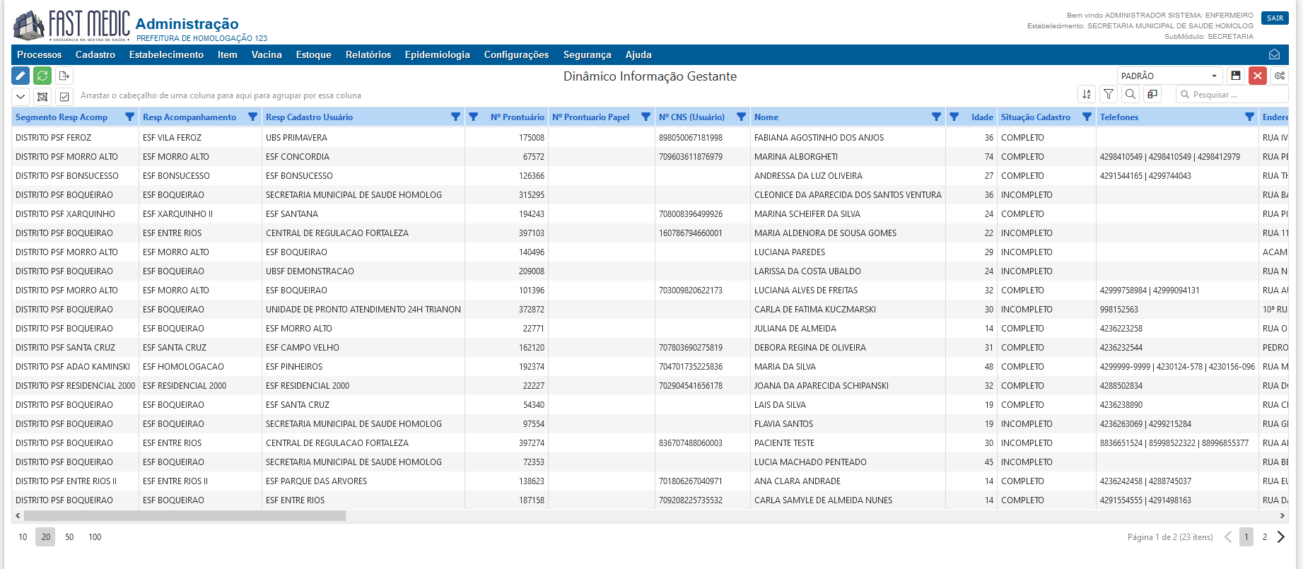 Imagem demonstrativa de Informações das Gestantes